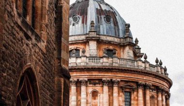 nikita-ti-Cw2bc8OnEu8-unsplash (1)