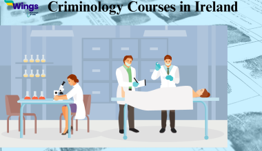 criminology courses ireland