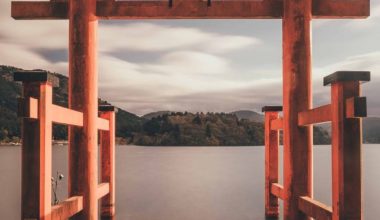 tianshu-liu-SBK40fdKbAg-unsplash (1)