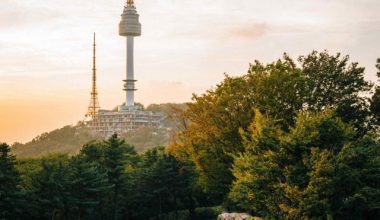 robson-hatsukami-morgan-ku9Ftte6Ymo-unsplash (1)