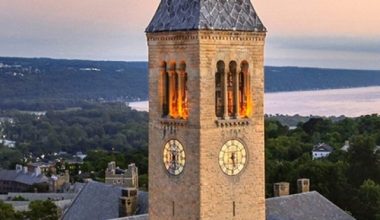 Cornell University TATA Scholarship