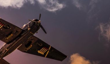 rodrigo-rodriguez-x7bbQIY6H04-unsplash (1)