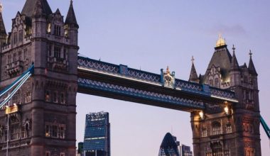 susan-q-yin-ImoVrhUBeFs-unsplash (3) (1)