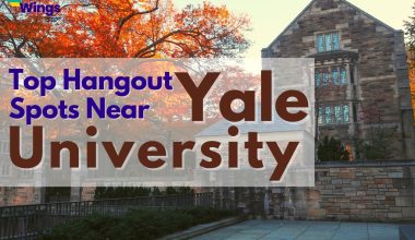 top hangout spots near yale university