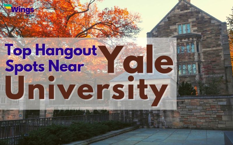 top hangout spots near yale university