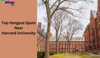Top hangout spots near Harvard University