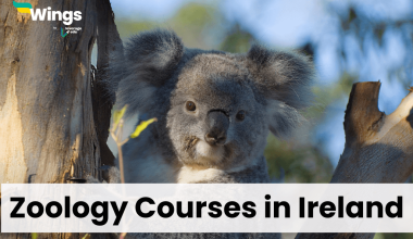 Zoology Courses in Ireland