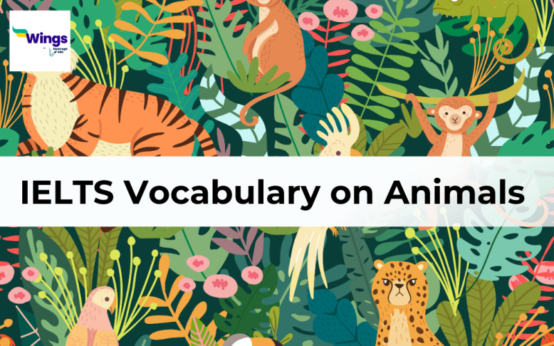 IELTS Vocabulary on Animals 