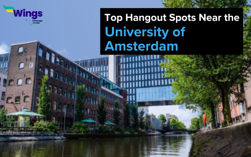 Top Hangout Spots Near the University of Amsterdam