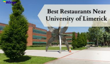 Best Restaurants Near University of Limerick