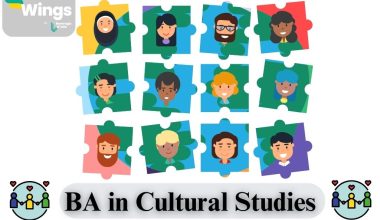 BA in Cultural Studies