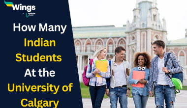 How Many Indian Students Are in the University of Calgary