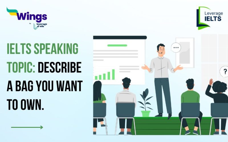 Describe a bag you want to own.