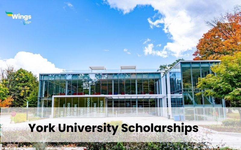 York University Scholarships