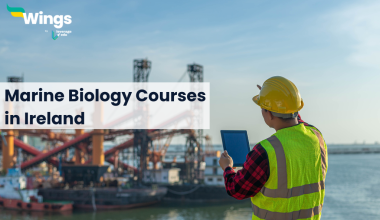 Marine-Biology-Courses-in-Ireland.