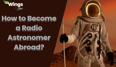 Radio Astronomer
