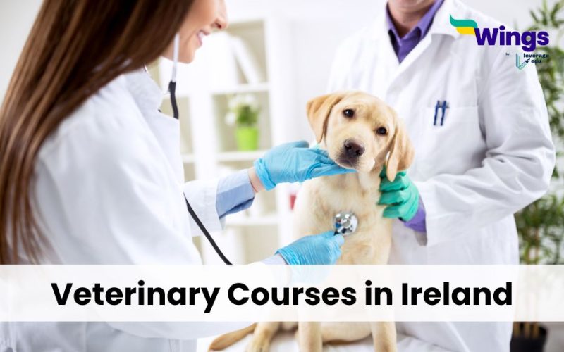 Veterinary-Courses-in-Ireland