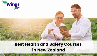 Best-Health-and-Safety-Courses-in-New-Zealand