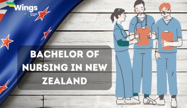 bachelor of nursing in new zealand