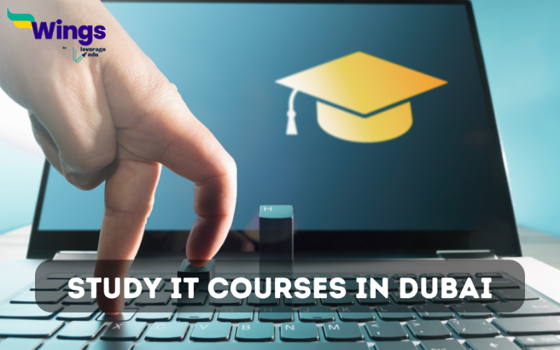 study it in dubai
