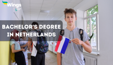 bachelor's degree in netherlands