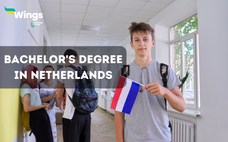 bachelor's degree in netherlands