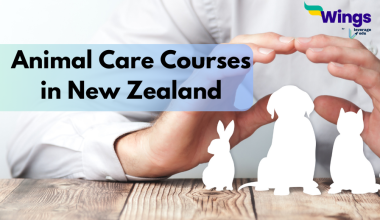 animal care courses nz