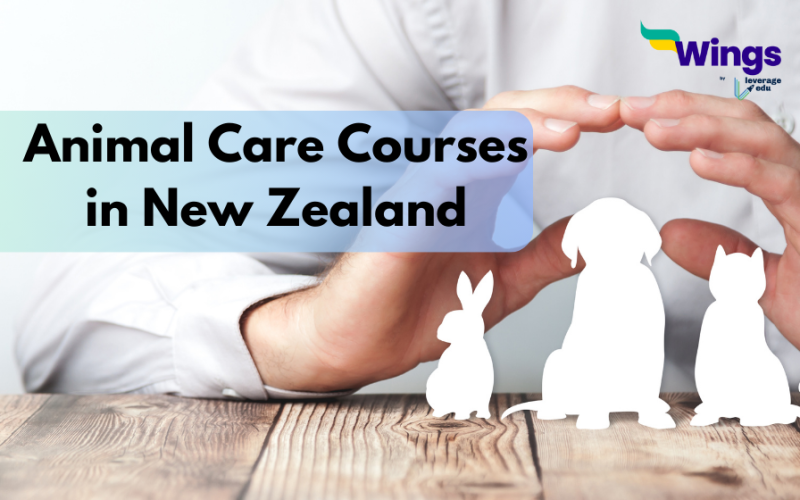 animal care courses nz