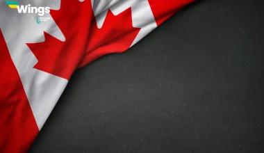 Study Abroad: New Backlog Update by IRCC || About 2.2 million Files are Under Processing