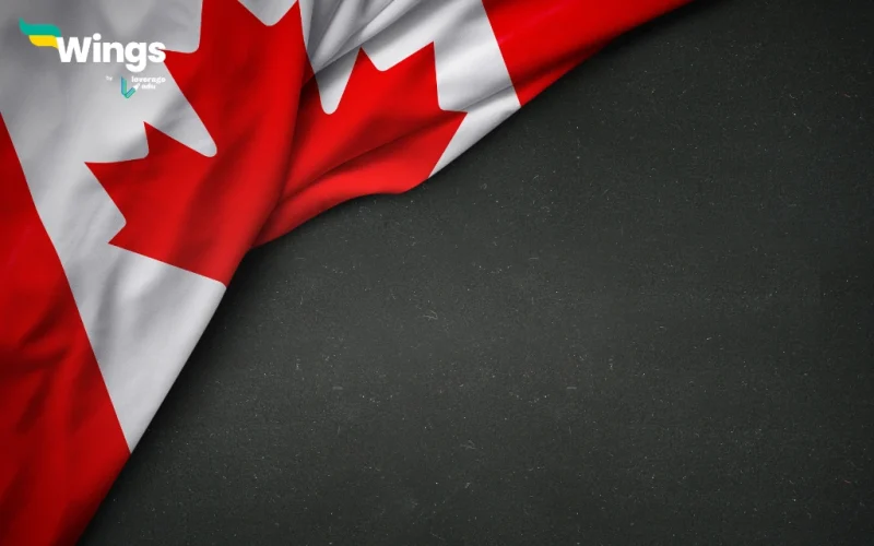 Study Abroad: New Backlog Update by IRCC || About 2.2 million Files are Under Processing