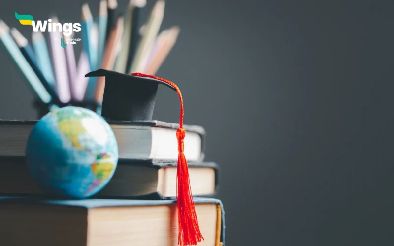 Study Abroad The Processing Time of New Zealand Improves