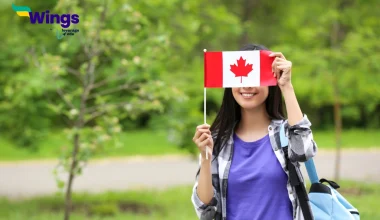 Scope of Software Engineer in Canada