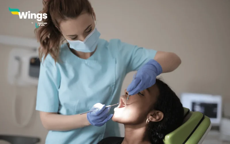 Study Abroad: Here are the Top 6 Universities in 2024 for Your Dental Degree