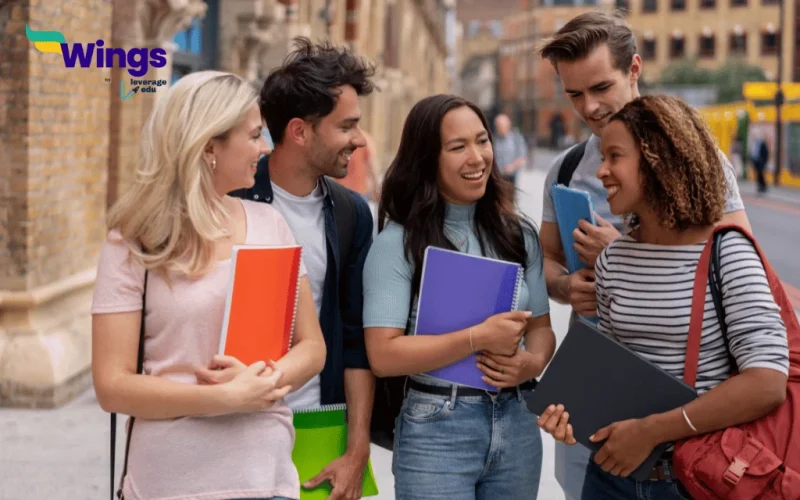 Study in New Zealand: Why Choose Island Nation in 2024?