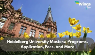 heidelberg university masters