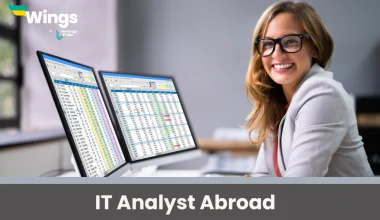 it analyst