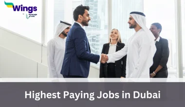 highest paying jobs in dubai