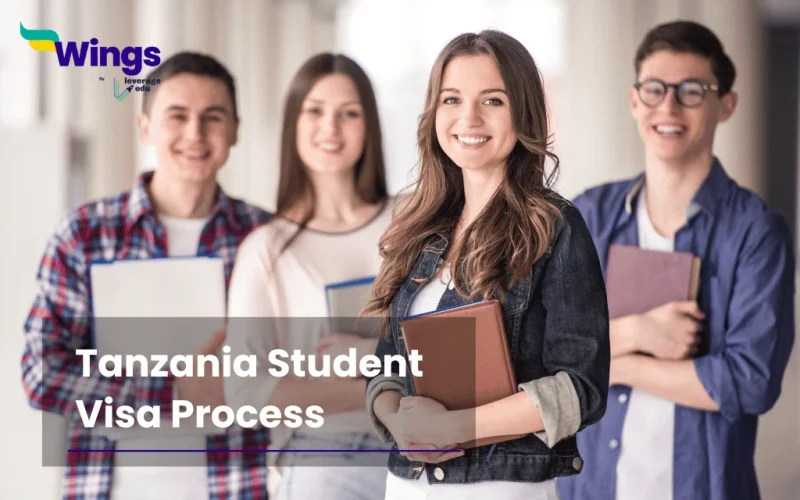 tanzania student visa process