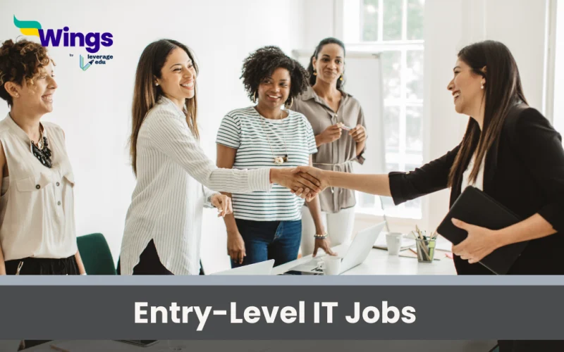 Entry Level IT Jobs