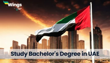 Study Bachelor's Degree in UAE
