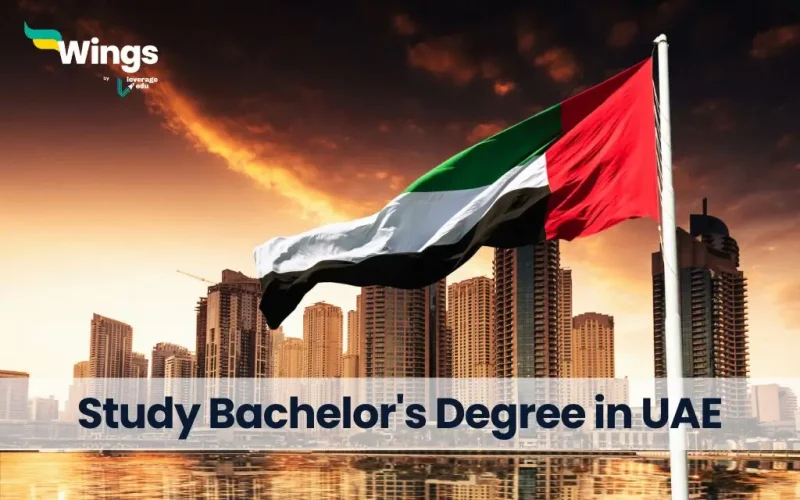 Study Bachelor's Degree in UAE