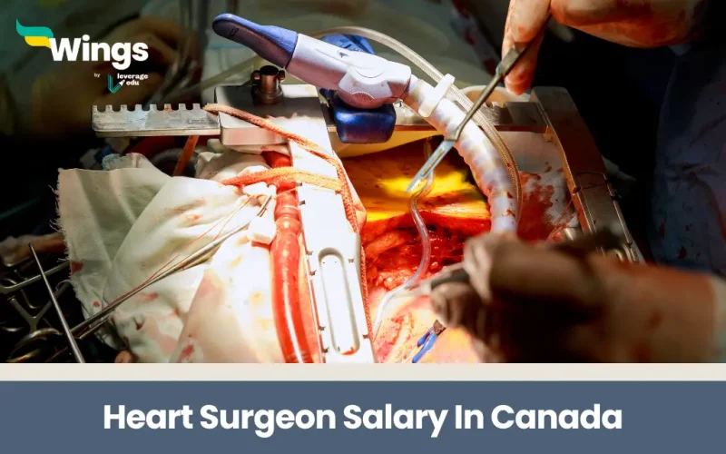 Heart Surgeon Salary In Canada