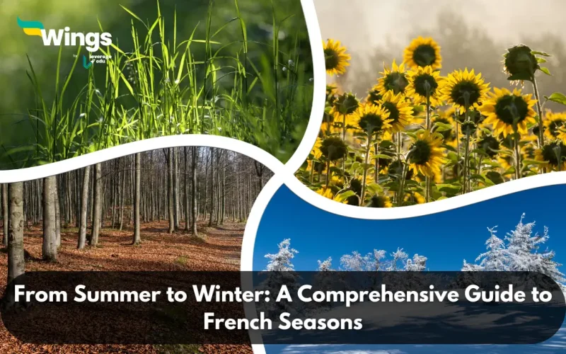 From-Summer-to-Winter-A-Comprehensive-Guide-to-French-Seasons.