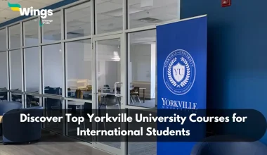 yorkville university courses