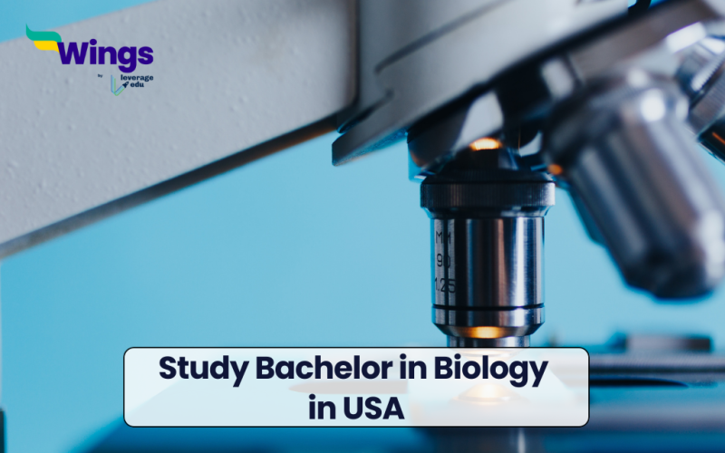 Study Bachelor in Biology in USA