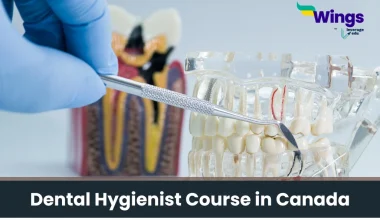 Dental Hygienist Course in Canada