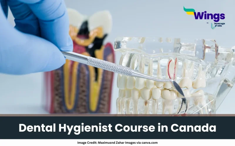 Dental Hygienist Course in Canada