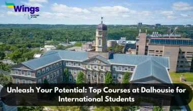 Unleash-Your-Potential-Top-Courses-at-Dalhousie-for-International-Students