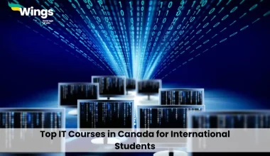 Top IT Courses in Canada for International Students