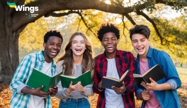 The Ultimate Guide to the NL Scholarship for International Students